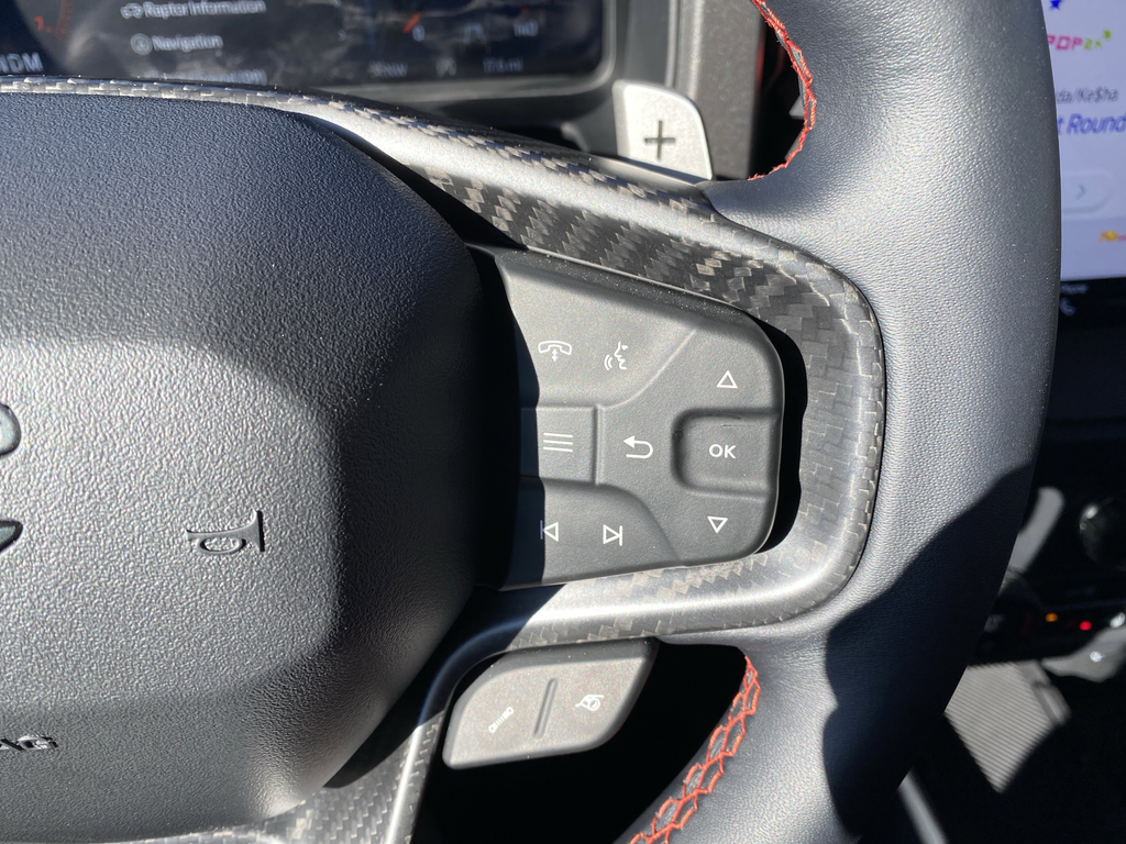 New 2025 Marsh Gray Ford Raptor image 35