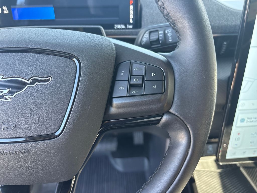 2024 Ford Mustang Mach-E Premium photo 14