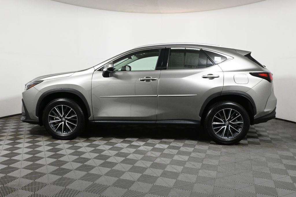 2024 Lexus NX 350 2