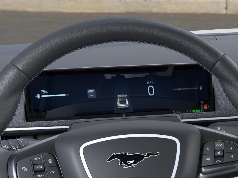 2025 Ford Mustang Mach-E GT - Photo 13