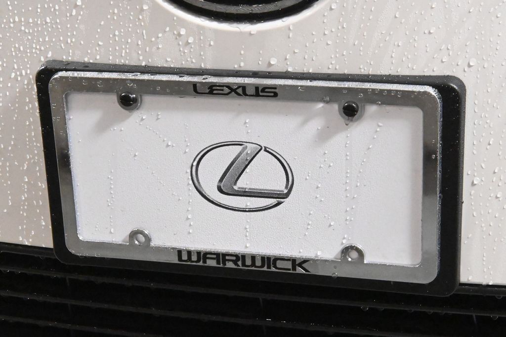 2025 Lexus RZ  14