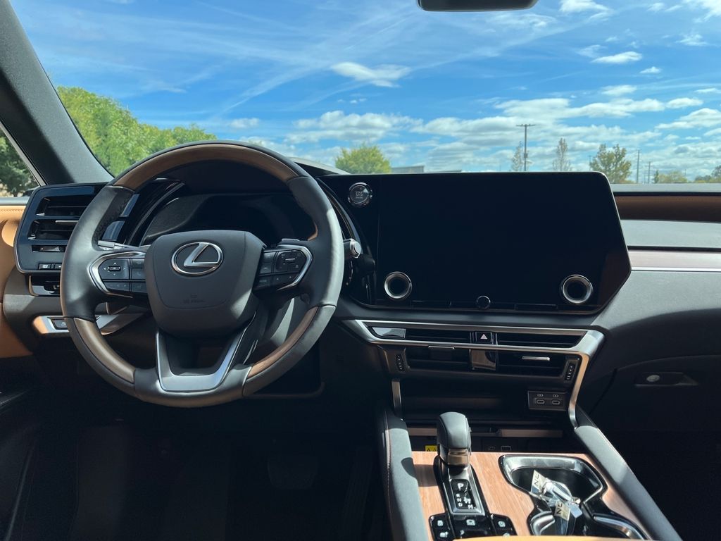 2025 Lexus RX 350 Premium AWD photo 10