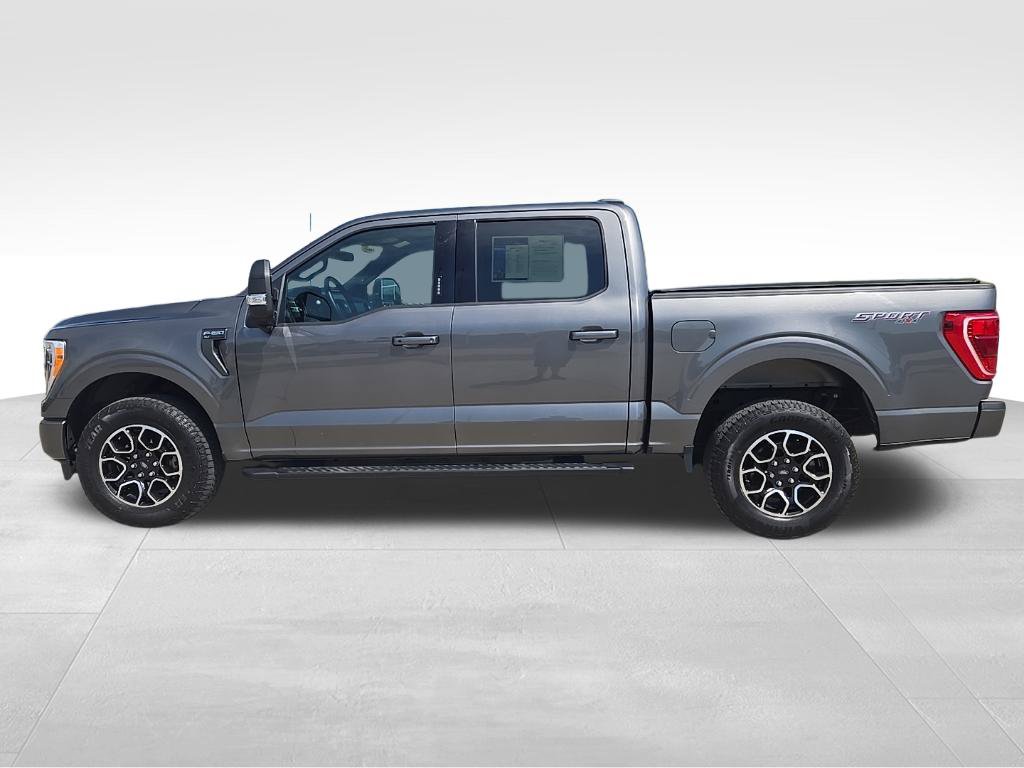 Used 2023 Ford F-150 Truck