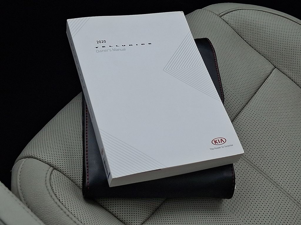 2020 Kia Telluride EX Green at South Hills Kia