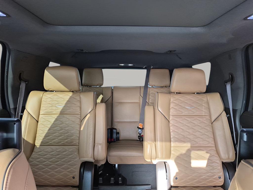 Used Car 2024 Cadillac Escalade  Sport For Sale Under $80,000 In Austin, Texas