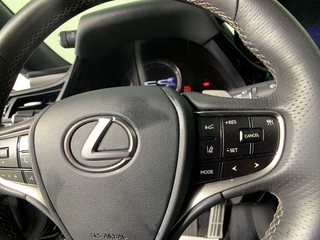 2022 Lexus ES 350 F Sport 19