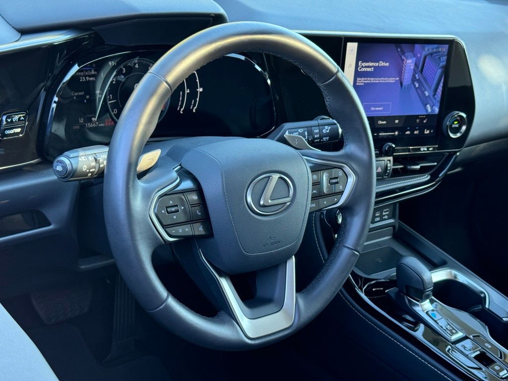 2024 Lexus NX 250 Premium 19