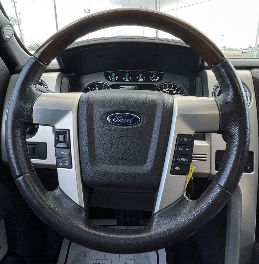 2014 Ford F-150 Platinum Black at Emmons Autoplex