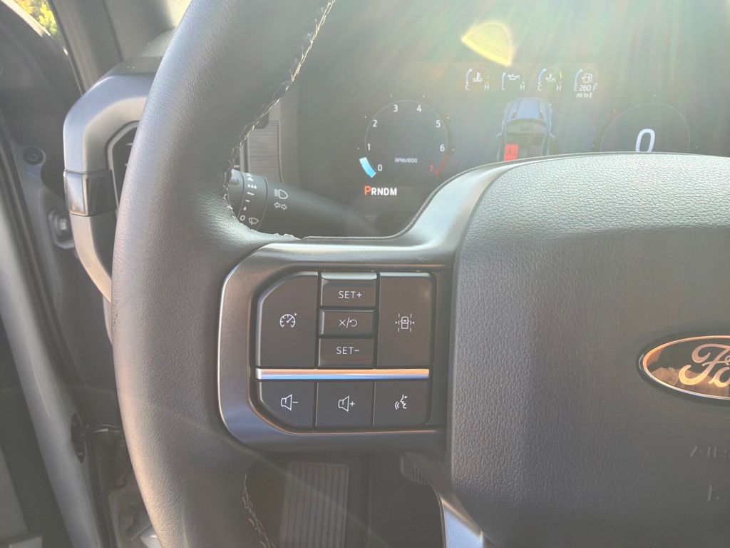 2024 Ford F-150 19