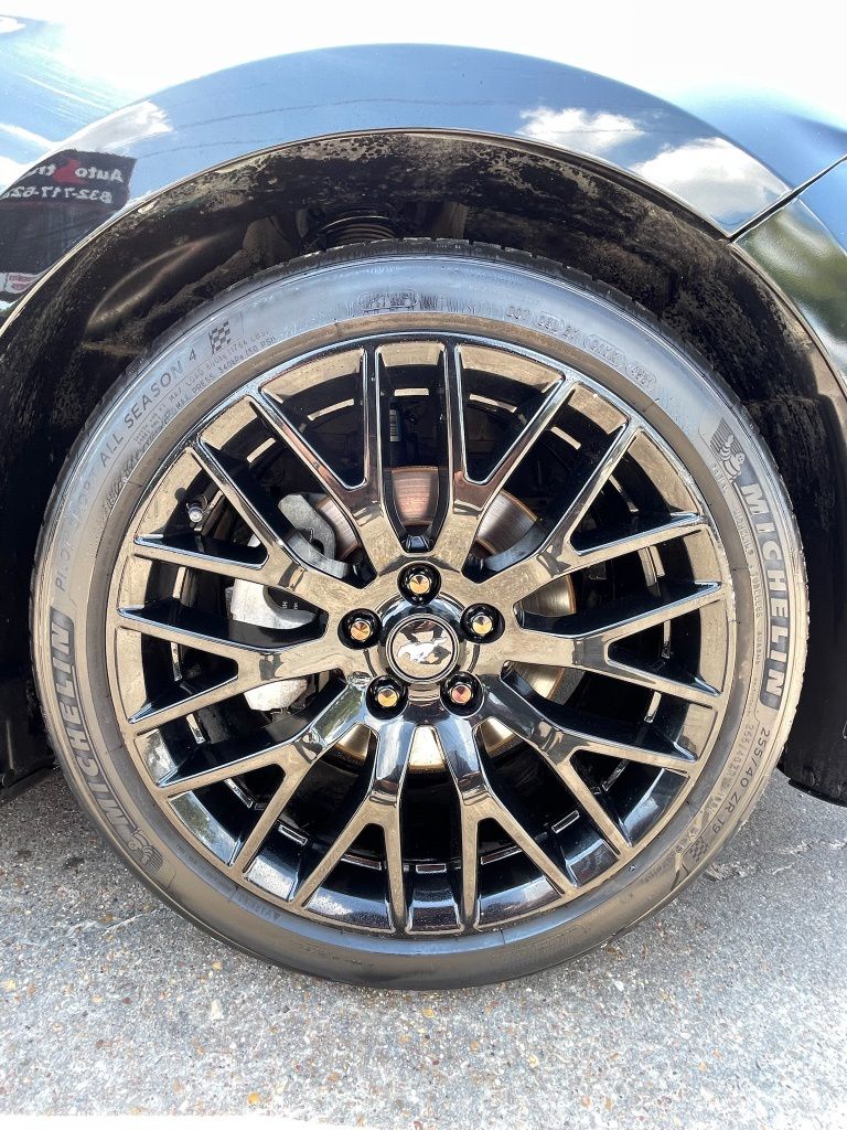 2016 Ford Mustang EcoBoost Premium Black at Wharton Ford