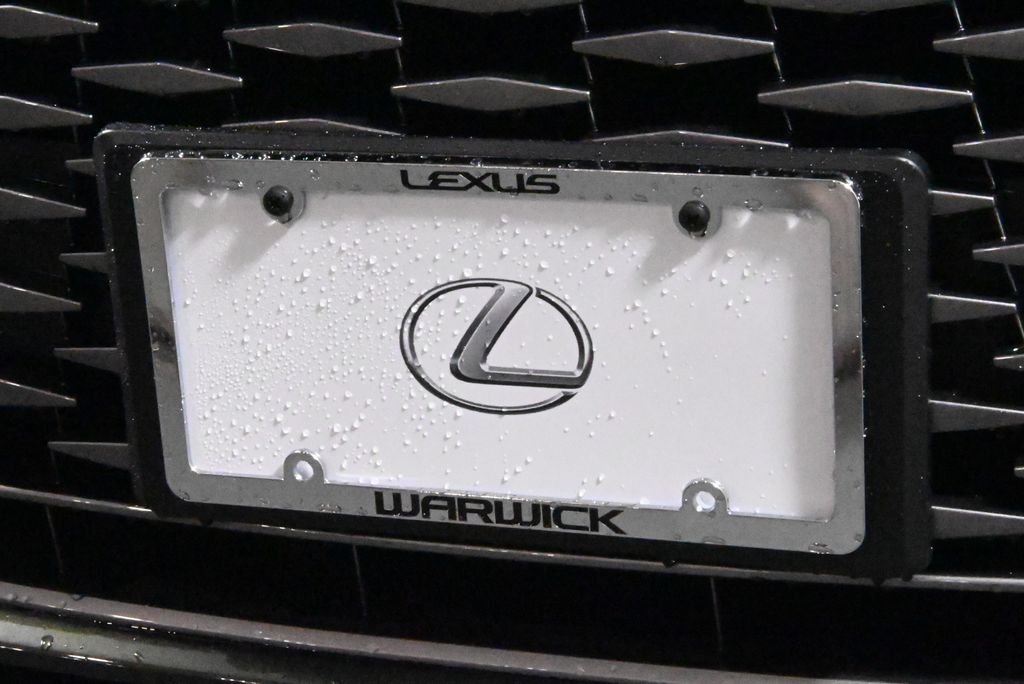 2024 Lexus RX 350 14