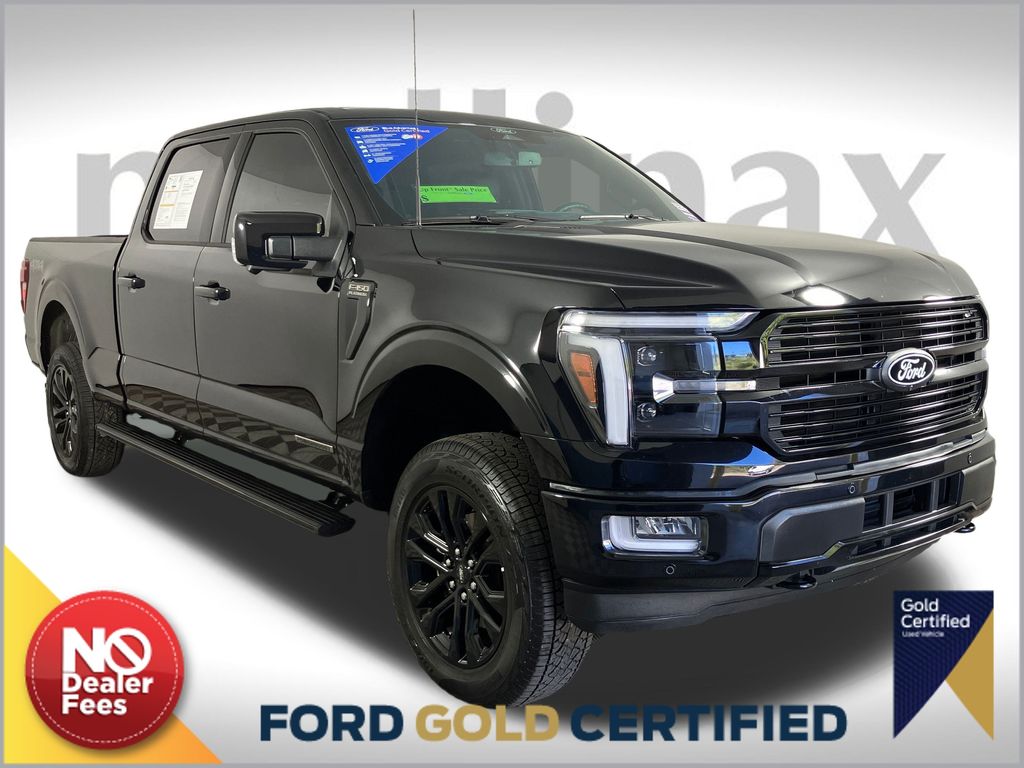 2024 Ford F-150 Platinum's photo