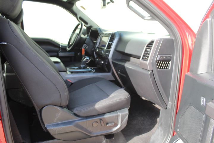 Used Car 2020 Ford F-150  Xlt For Sale Under $25,000 In Georgetown, Texas