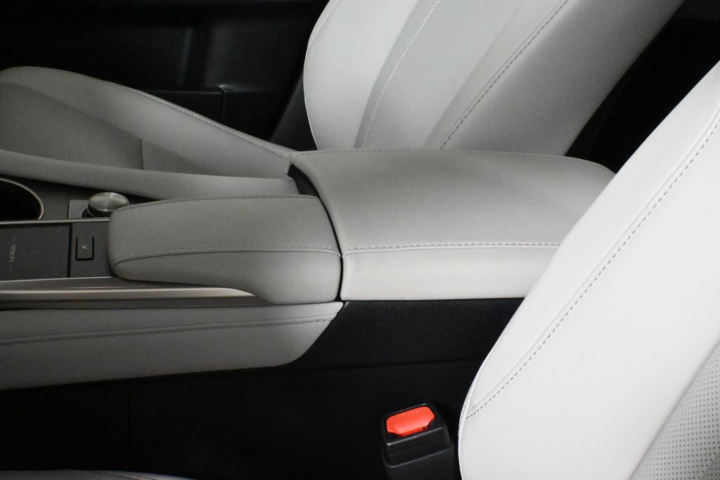 2021 Lexus RX 350 30