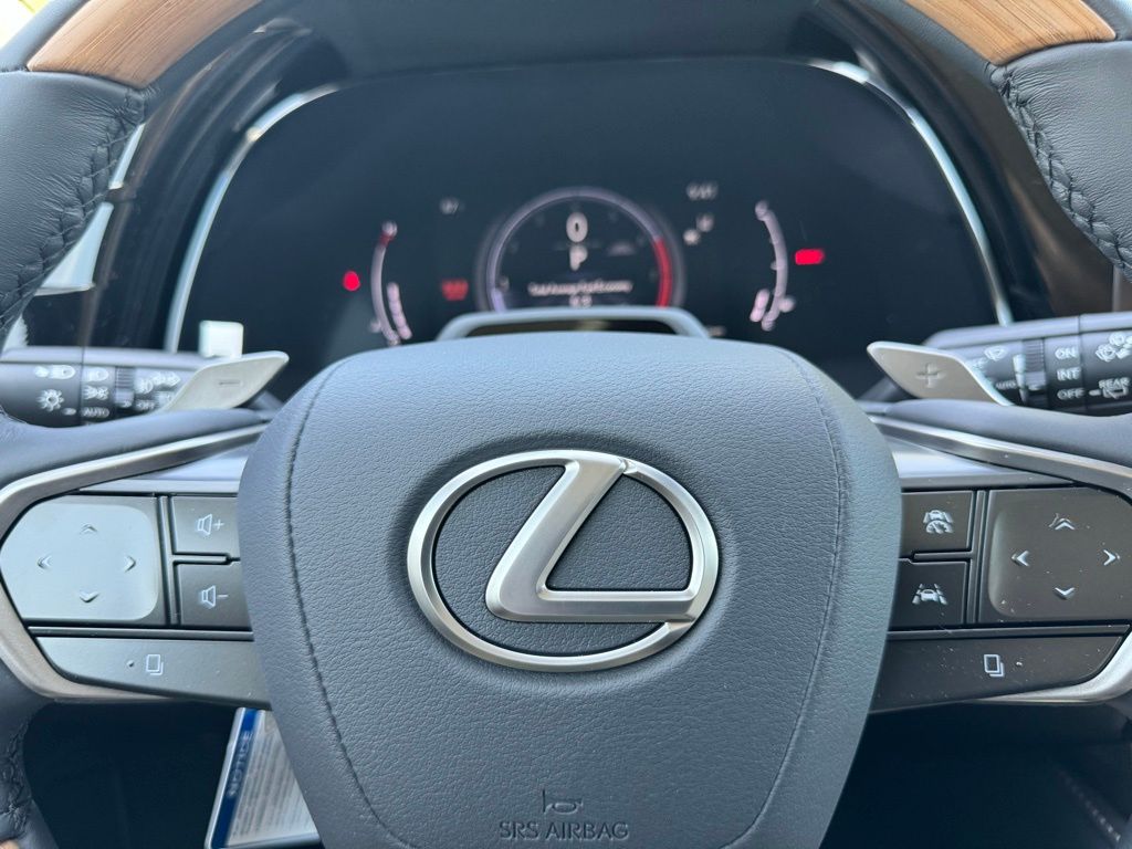 2024 Lexus RX 350 Luxury 25