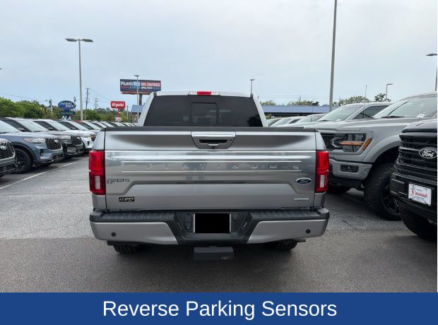 2020 Ford F-150 Platinum