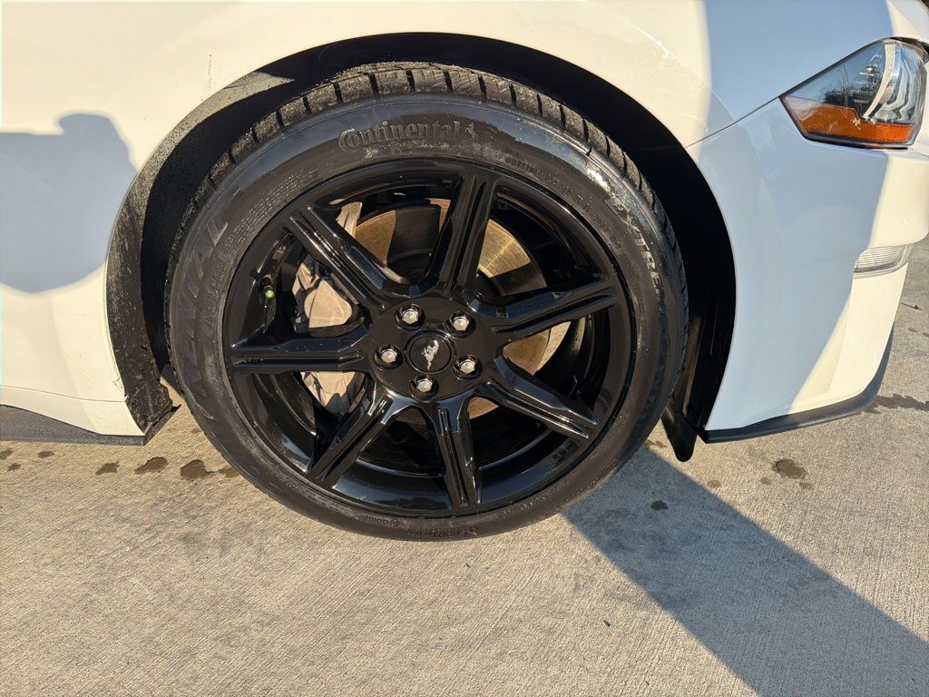 2019 Ford Mustang GT