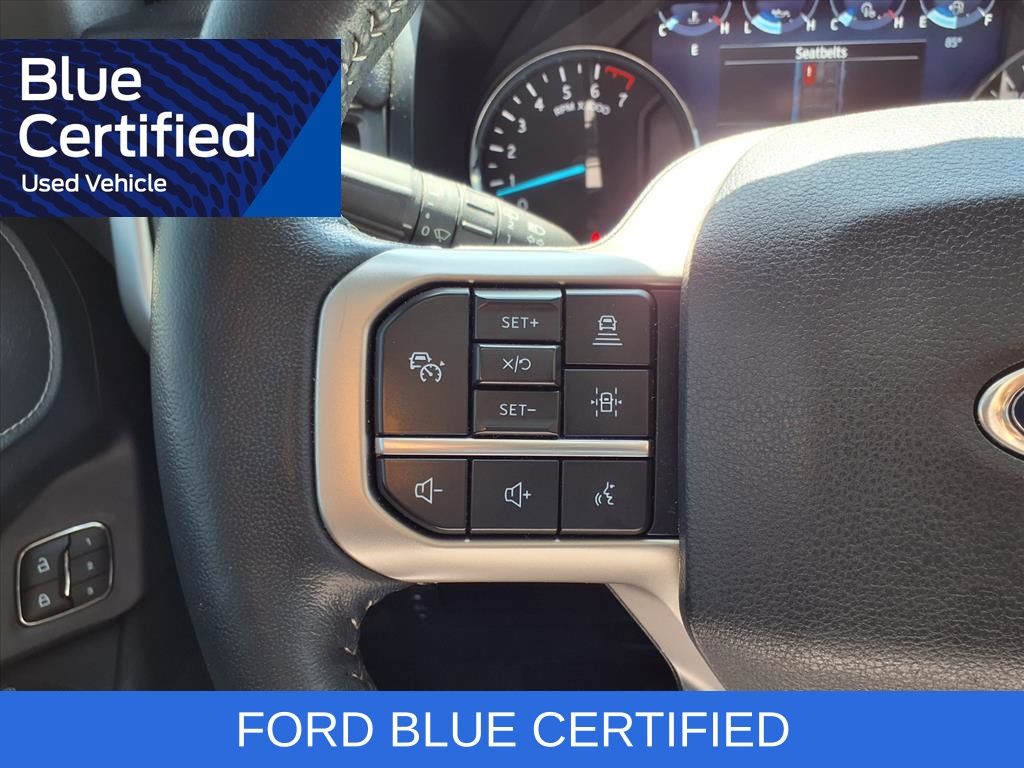 2023 Ford Expedition Max XLT Green at Wharton Ford