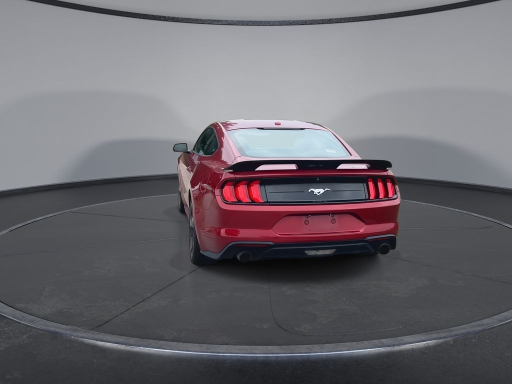 Thumbnail: 2019 Ford Mustang - 7