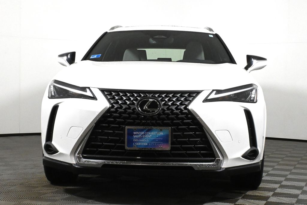 2025 Lexus UX 300h 10