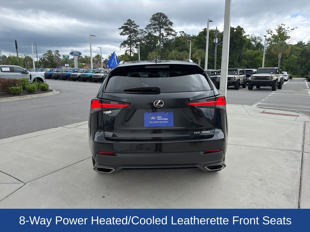 2019 Lexus NX 300 