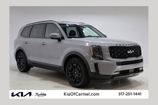 Wolf Gray 2022 Kia Telluride SUV / Crossover All-Wheel Drive 8-Speed Automatic
