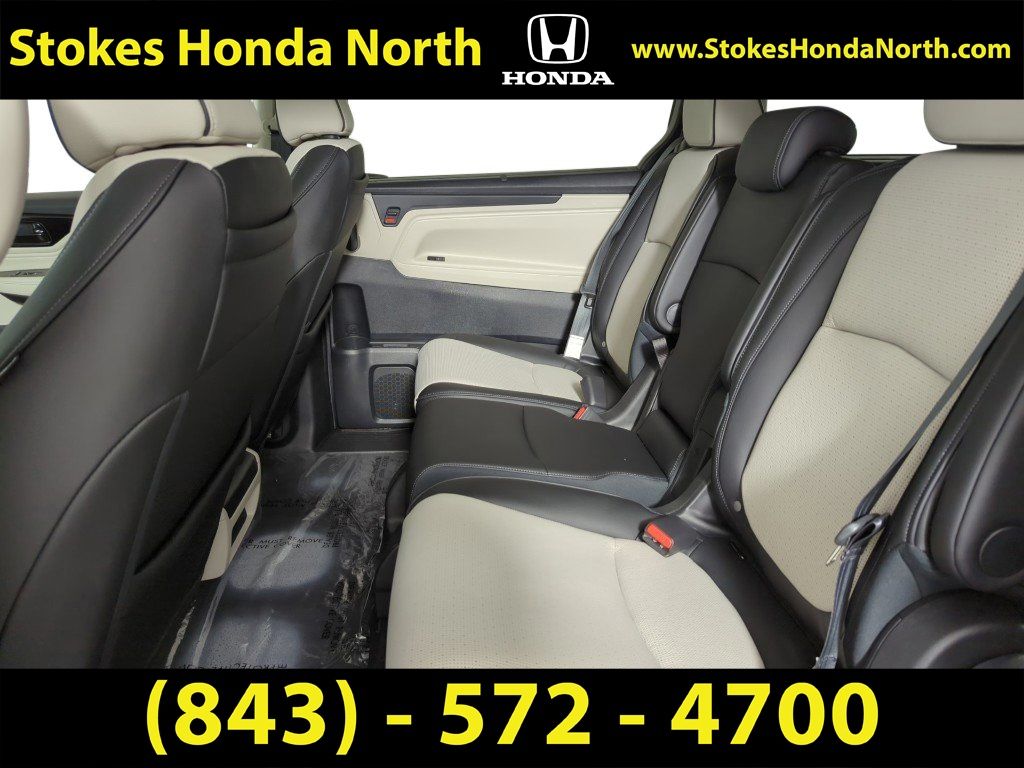 2026 Honda Odyssey Elite Gray at Stokes Honda North