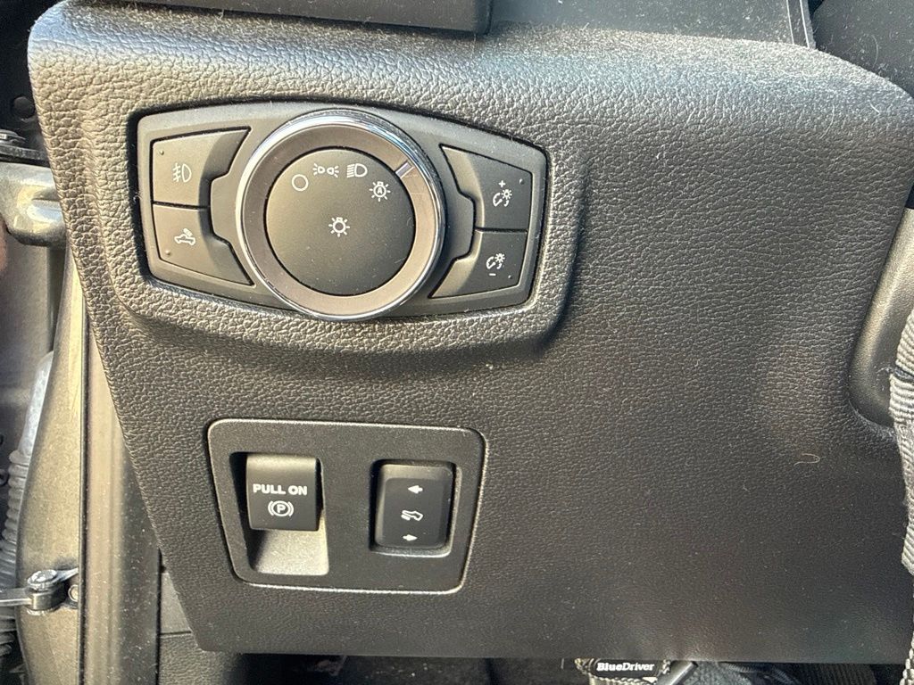 2019 Magnetic Metallic Ford F-150 XLT RWD Truck