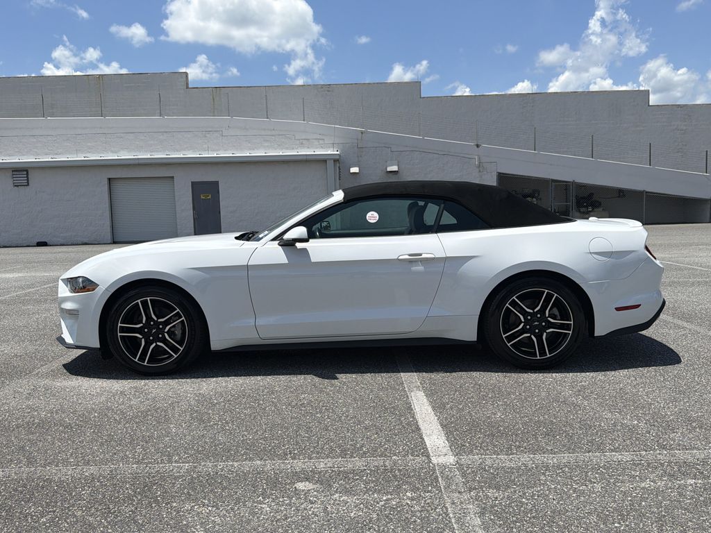 Used 2019 Ford Mustang Convertible