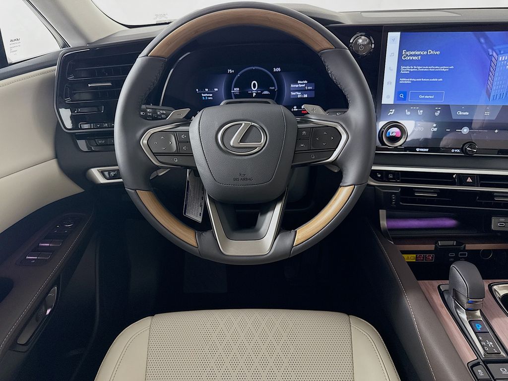 2025 Lexus RX  19