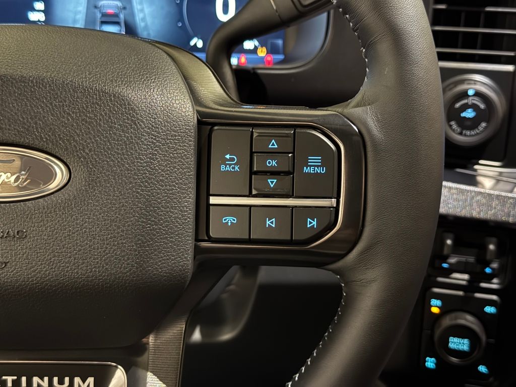 New 2026 Gray Ford Platinum image 38