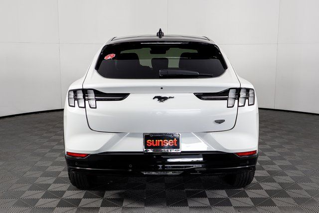 New 2023 White Ford California Route 1 image 4