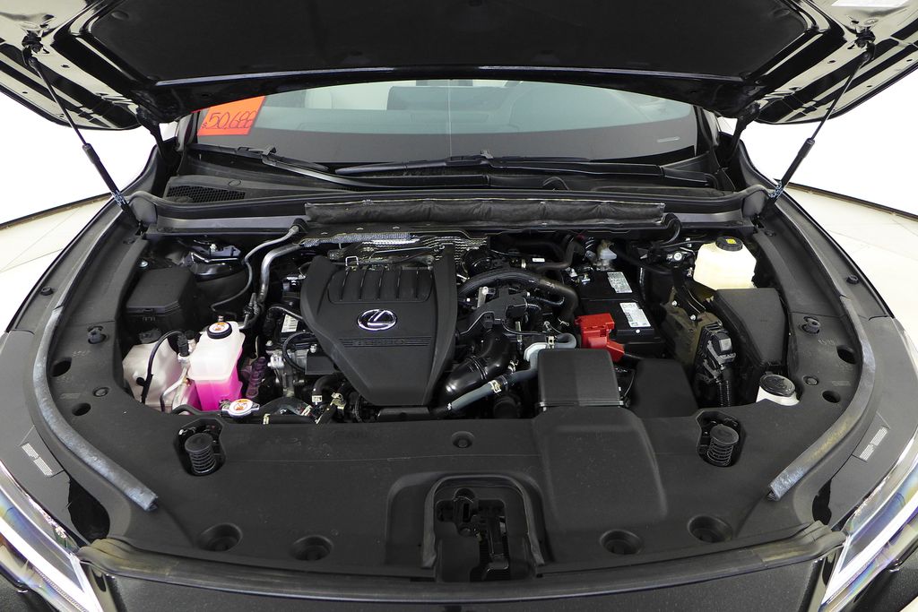 2024 Lexus RX 350 6