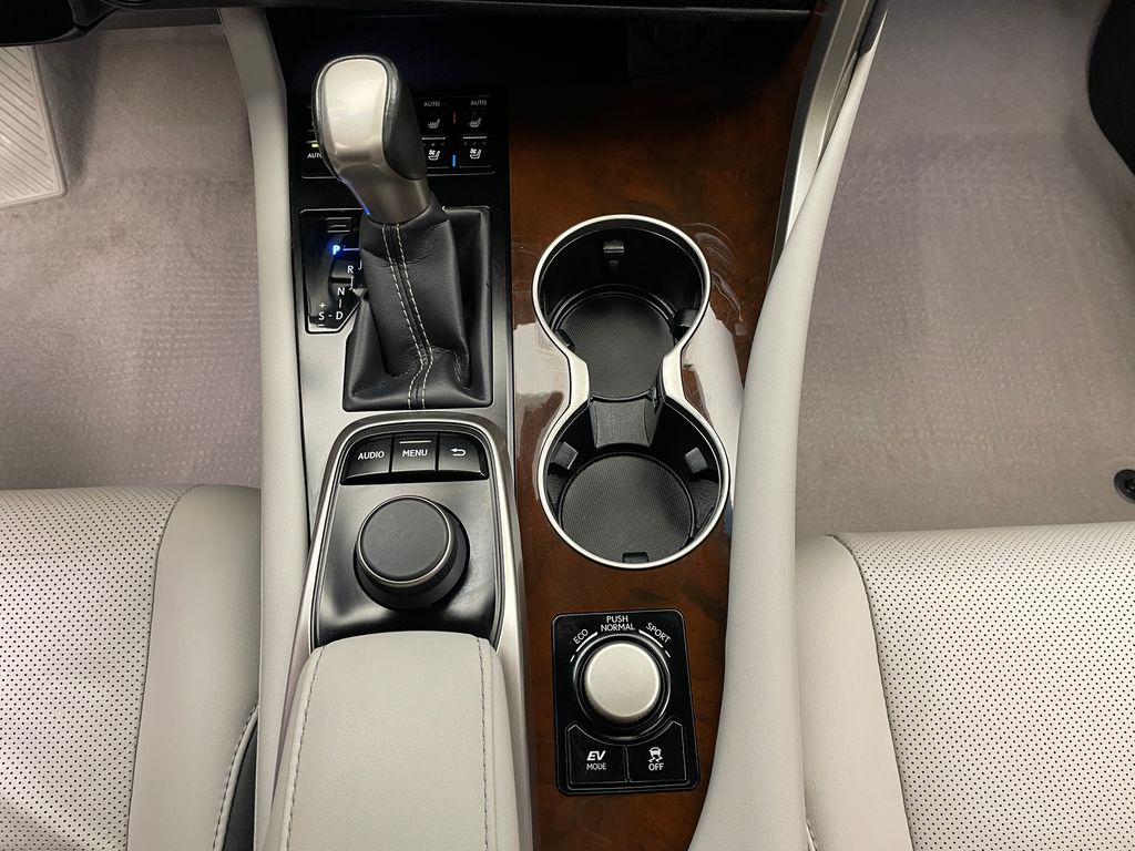2019 Lexus RX Hybrid 450h 29