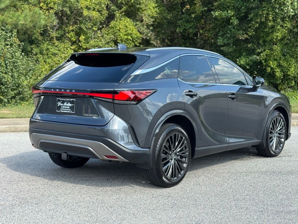 2024 Lexus RX 350 Luxury photo 11