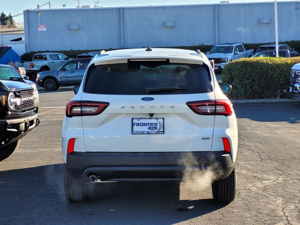 Car Picture