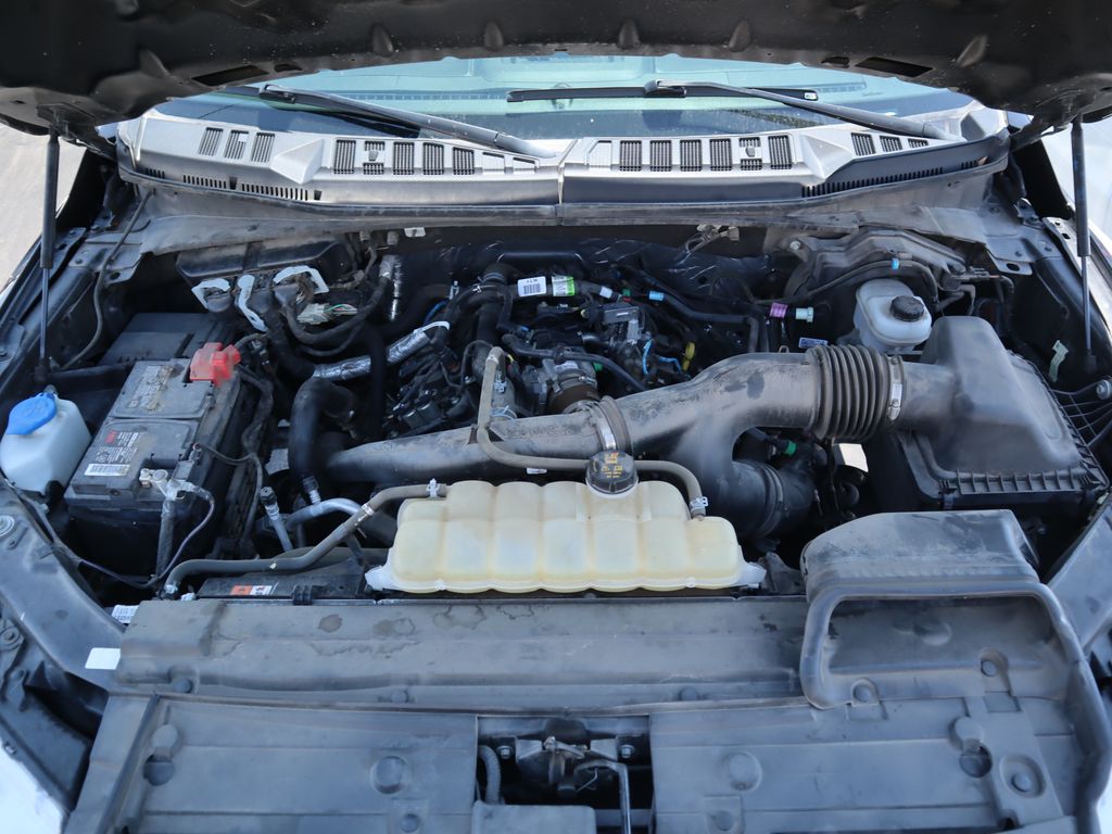 2019 Ford F-150 XL 13