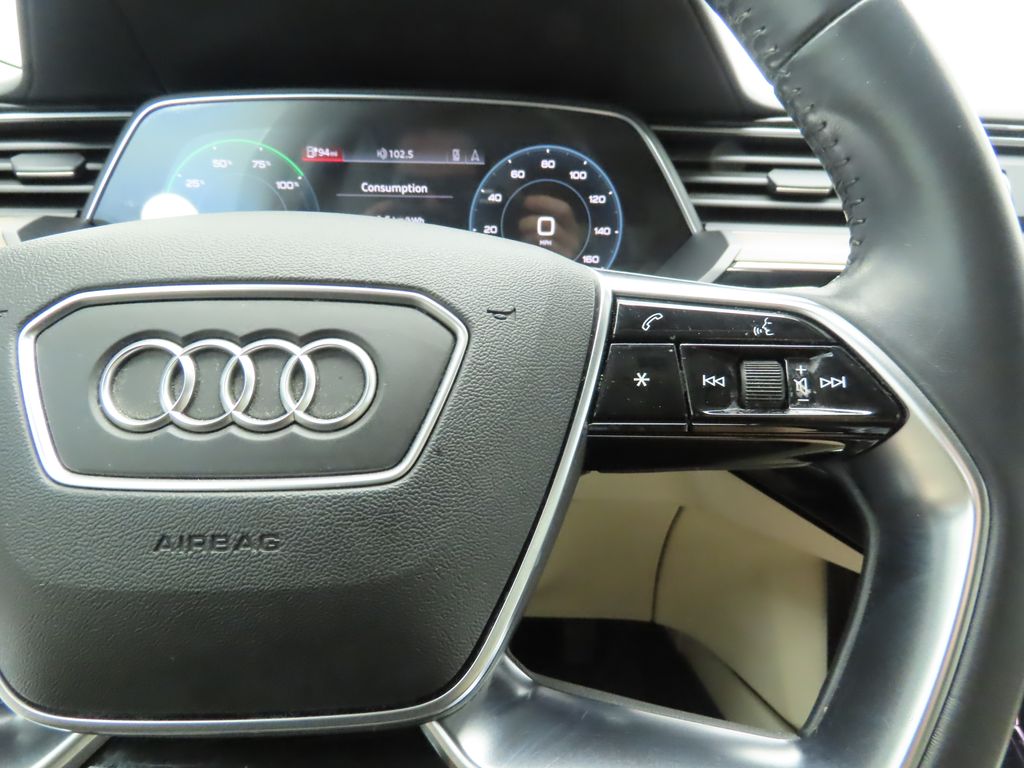 2019 Audi e-tron Prestige 14