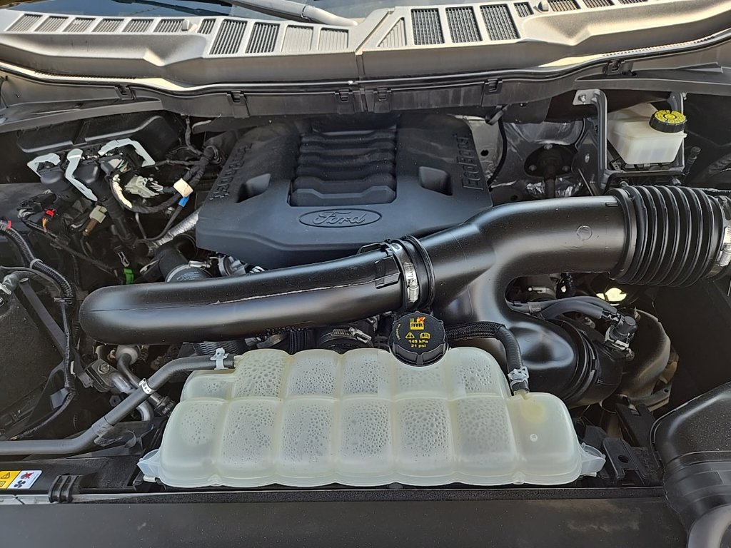 Used 2023 Ford F-150 Truck