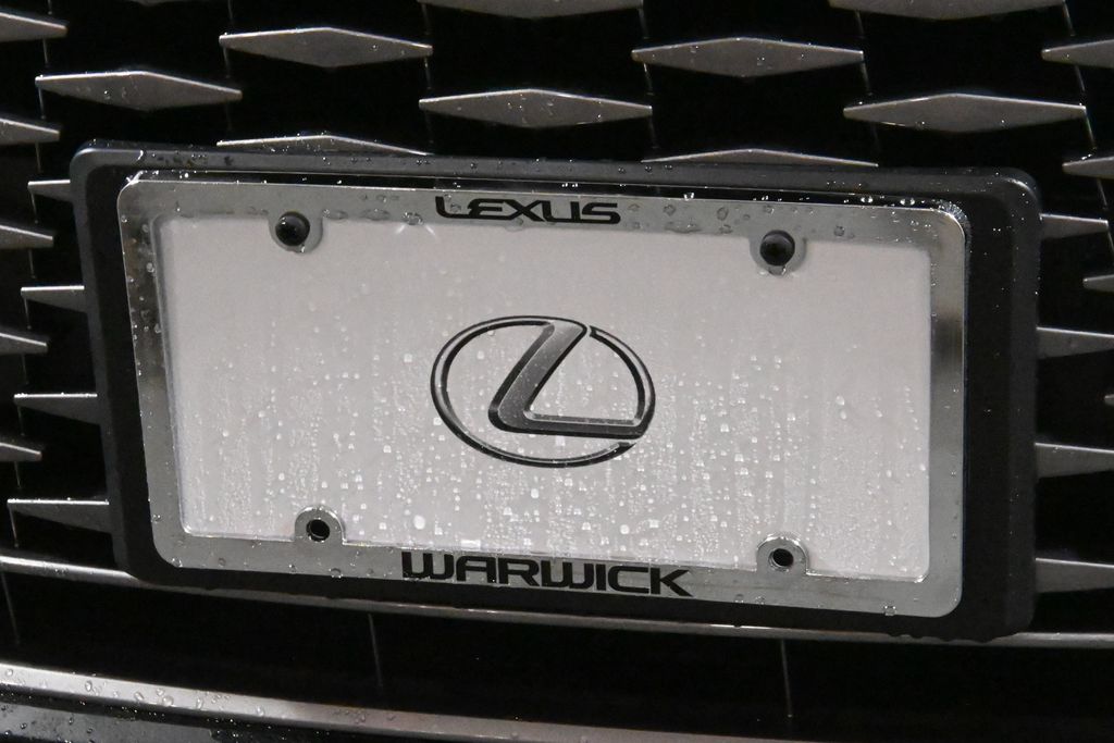 2025 Lexus RX 350 14