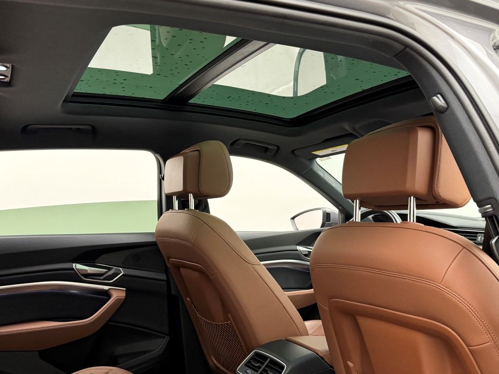 2023 Audi e-tron Premium Plus 19