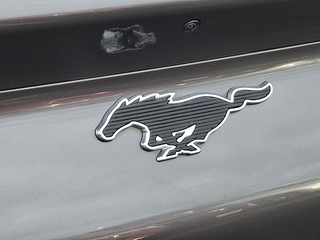 Thumbnail: 2021 Ford Mustang Mach-E - 31