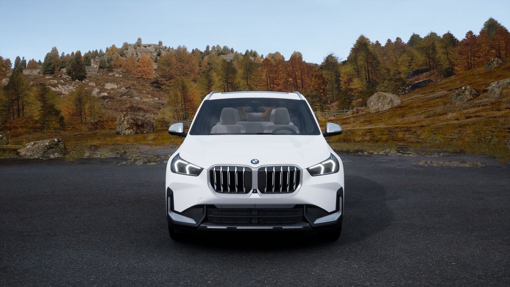 2025 BMW X1 xDrive28i 25