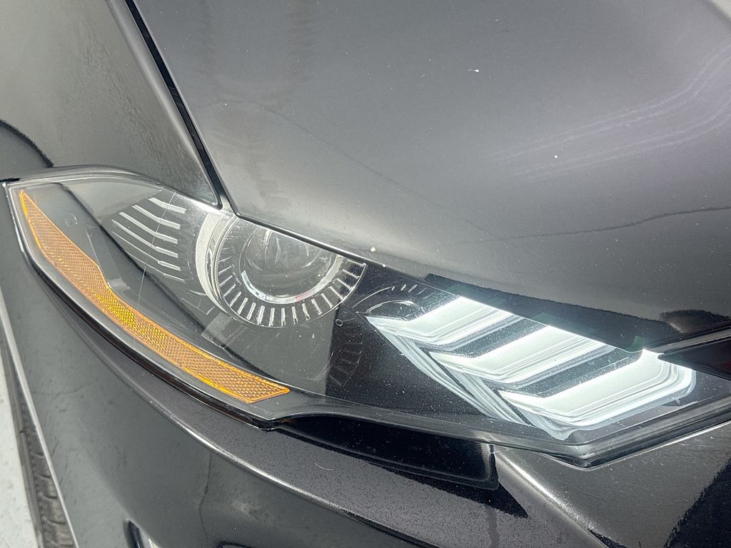 Used Car 2021 Ford Mustang  Ecoboost For Sale Under $25,000 In Austin, Texas