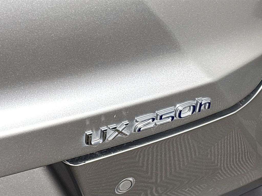 2020 Lexus UX 250h F SPORT