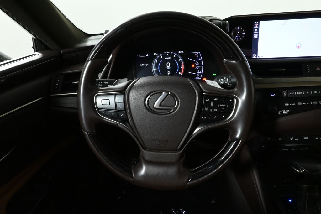 2019 Lexus ES 350 Luxury 19