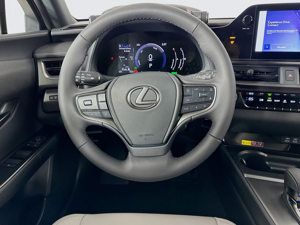 2025 Lexus UX 300h 18