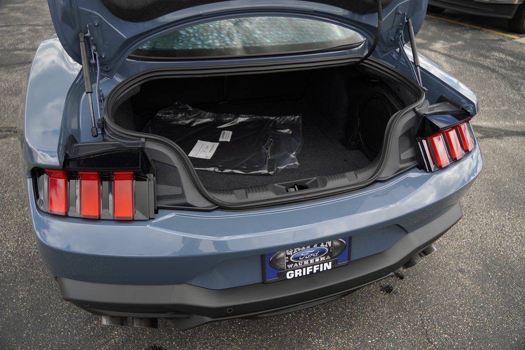 2025 Ford Mustang EcoBoost Premium Fastback - Photo 6