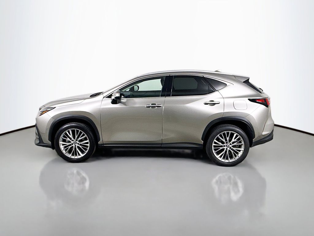 Thumbnail: 2025 Lexus NX - 8