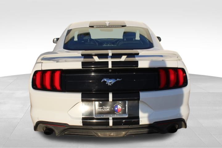 Used Car 2019 Ford Mustang  Ecoboost Premium For Sale Under $25,000 In Georgetown, Texas